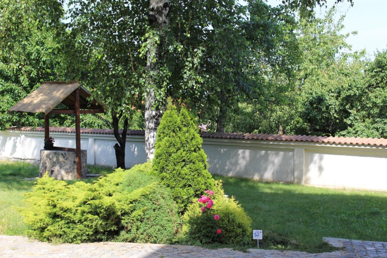 Hotel Radi Sapareva Banya Exterior photo