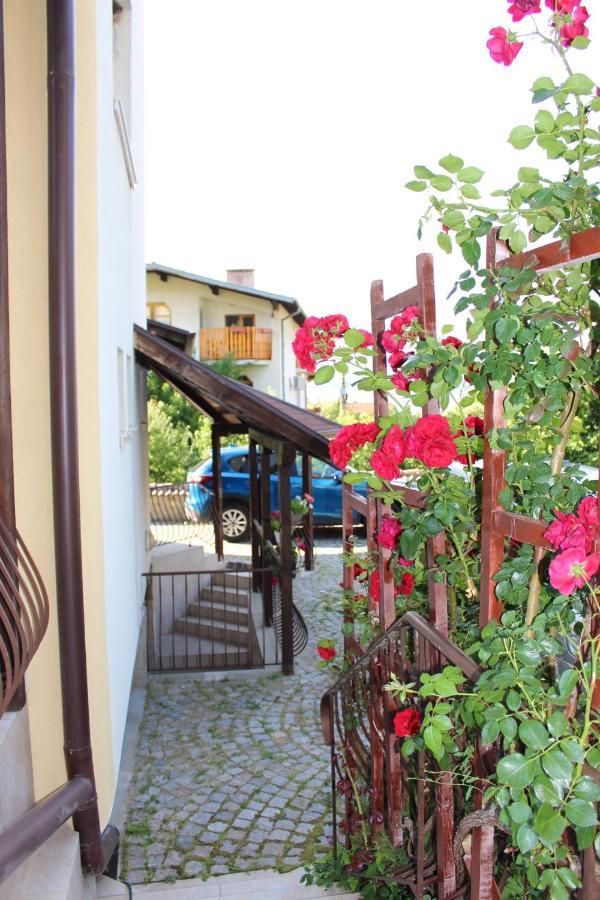 Hotel Radi Sapareva Banya Exterior photo